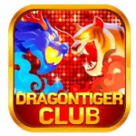 Dragon Tiger Club Game